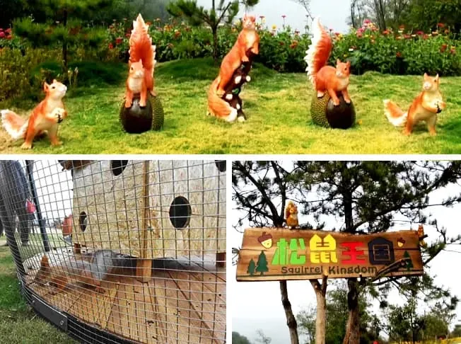 HuaDongPlay Case|Ganshan Shengjing Rural Parent-Child Farm Amusement Park was successfully completed